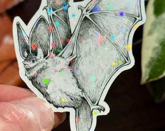 Bat Illustration Sticker - Waterproof Animal Vinyl Sticker - Journal decor - Wildlife Artwork - Animal Drawing - Gift for witches and goths
