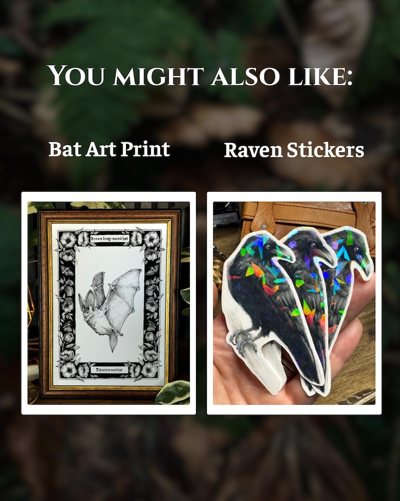 May include: A framed black and white art print of a bat surrounded by a floral border, labeled 'Brown long-eared bat' and 'Plecotus auritus', alongside three raven stickers featuring a holographic geometric overlay on the feathers.