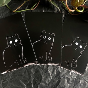 Il gatto nel set buio