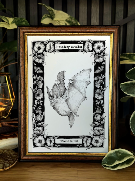 Bat Illustration Print - Halloween wall decor -  Wildlife Artwork - Vintage Style Animal Drawing - Gift for Nature Enthusiasts and goths