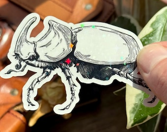 Rhinoceros Beetle Vinyl Sticker-Waterproof Insect Sticker-Entomology art-Halloween Decor-woodland Insect Sticker for Bulletjournals