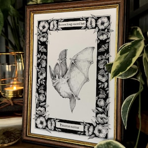 May include: A framed black and white ink illustration of a brown long-eared bat in flight. The artwork features a floral border with moths and the text "Brown long-eared bat" at the top and "Plecotus auritus" at the bottom, set in a dark wood frame.