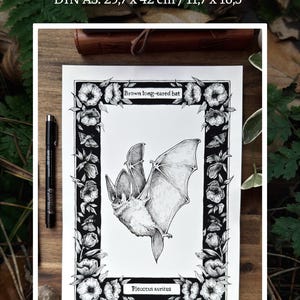 May include: A black and white ink illustration of a brown long-eared bat, labelled 'Brown long-eared bat' and 'Plecotus auritus', framed by a floral border. Text lists sizes: DIN A5 (14.8 x 21.0 cm), DIN A4 (21.0 x 29.7 cm), and DIN A3 (29.7 x 42 cm).
