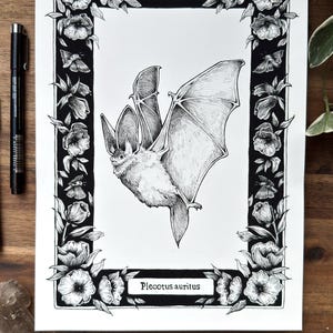 Bat Illustration Print - Halloween wall decor - Wildlife Artwork - Vintage Style Animal Drawing - Gift for Nature Enthusiasts and goths image 3