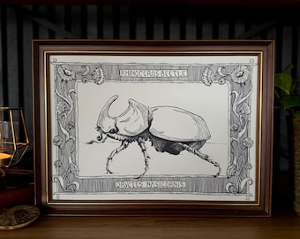 Rhinoceros Beetle Art Print - Insect Wall Art – Gift for Entomology Lovers - Vintage Artwork