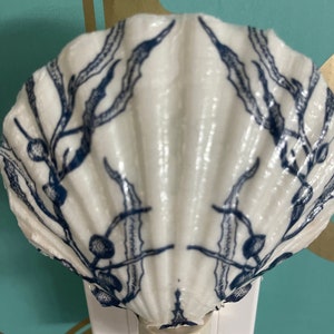 Decoupaged Seashell Night Light, Ocean Sea Flora Night light, Shell Nightlight, White Scallop Sea Shell Night light, Beach Theme,