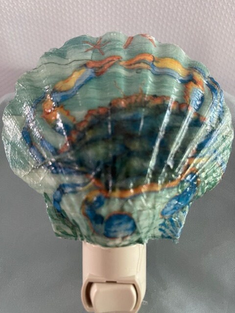 Seashell Night Light, Blue Crab Night Light, Shell Nightlight, White ...
