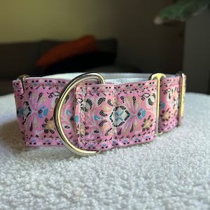 2 inch wide martingale collar