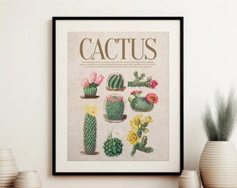 Vintage Cactus Print, Plant Wall Art, Botanical Wall Print, Colorful Art Print, Eclectic Gallery Wall Print, Boho Bohemian Wall Art