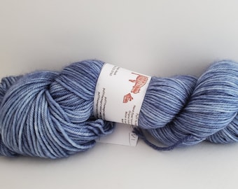 Sam ha perso la sua scarpa Vl Super Wash Merino filato worstd 304 yds