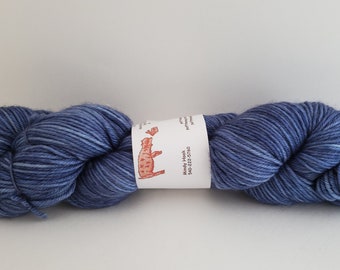 Sam Lost His Shoe ll Super Wash Merino Worsted Yarn 297 yds