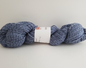 Sam Lost His Shoe Vll Twist merino worsted yarn 301 yds