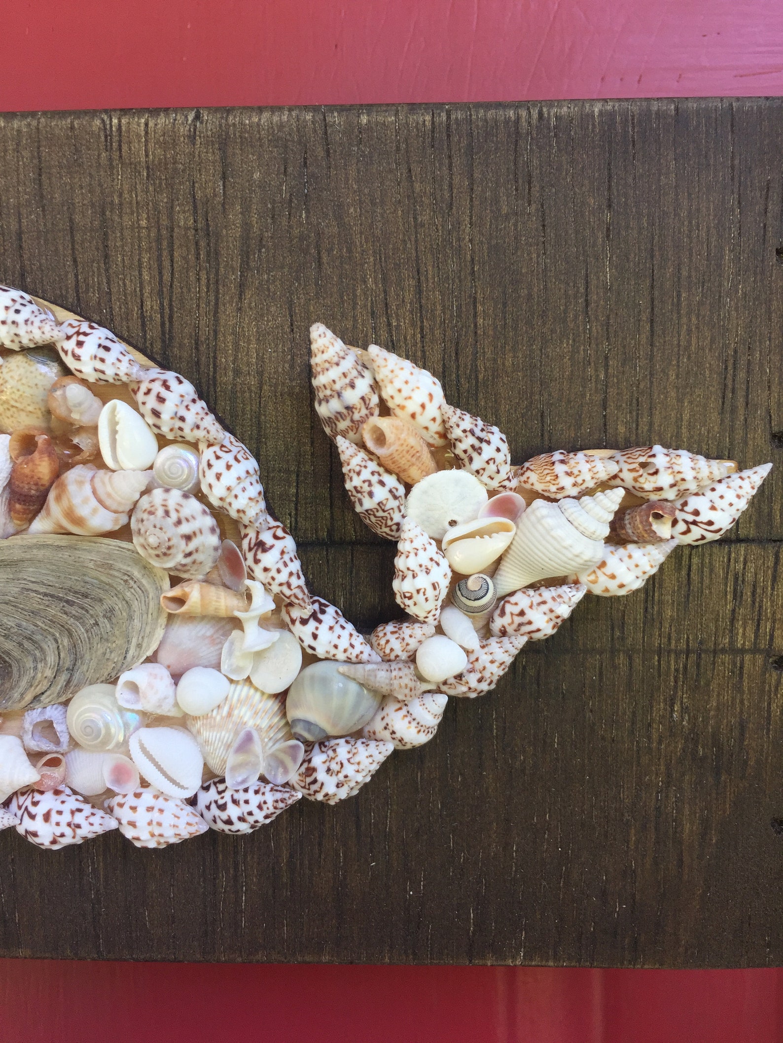 Seashell Whale Wood Box Wall Hanging Etsy