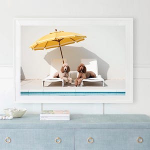 Palm Springs Poodles Print: Luxury Poolside Dogs (Digital Download)