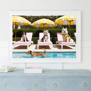 Happy Dogs Swim at Pool, Hills Wall Art, Palm Spring Poster, Luxury Lifestyle Photography, High Society Print, Slim Gray, Digital Download