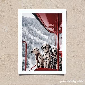 Après Bilder, Snowboard Print, Ski Poster, Luxus Lifestyle Fotografie, glückliche Hunde Schnee, schlank grau Winter