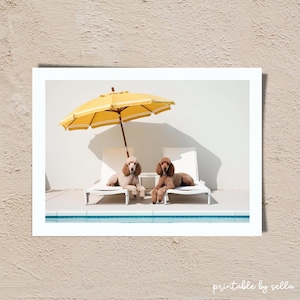 Happy Dogs Swim at Pool, Hills Wall Art, Palm Spring Poster, Luxury Lifestyle Photography, High Society Print, Slim Gray, Digital Download