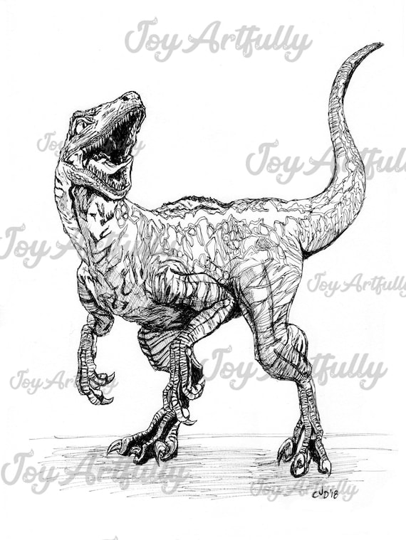 Blue Velociraptor Jurassic World Pen And Ink Drawing Etsy