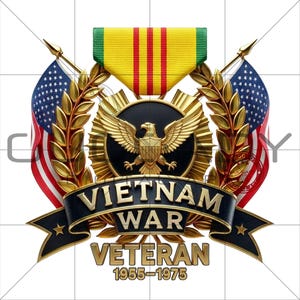 Médaille Vietnam Service Medal VSM USA avec palme et étoile