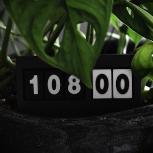 May include: A black flip counter with white numbers displaying 10800. The counter is partially obscured by a green leafy plant.