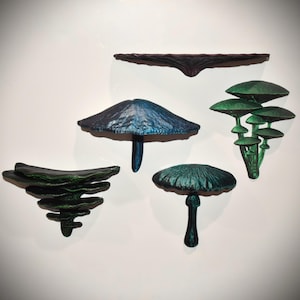 Mushroom Magnet - Pack of 5 - Large Size | Variety Mushrooms | 3D Fridge Magnets | Cottage Core | Many Colors - Galaxy (Limited)