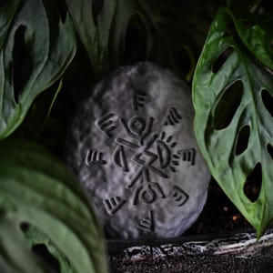 May include: A gray stone with a carved design of a sun, eye, and other symbols. The stone is surrounded by green leaves.