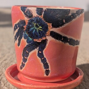 May include: A coral-colored ceramic plant pot with a matching saucer, featuring a detailed hand-painted illustration of a dark blue and black tarantula with hairy legs and a textured body centered on the front of the cylindrical vessel.