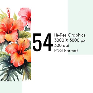 May include: A digital illustration of a bouquet of orange and pink hibiscus flowers with green leaves. The image is labeled "54" and "Hi-Res Graphics 3000 x 3000 px 300 dpi PNG Format".