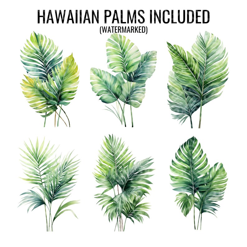 Watercolor Hawaiian Flowers Clip Art Bundle: Floral & Palm Illustrations (Digital Download). image 6