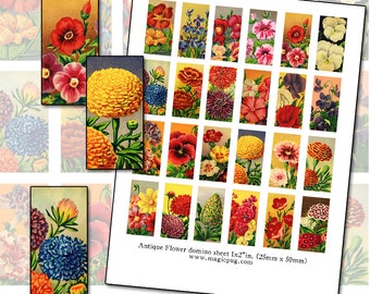 Antique French Seed Packet art domino digital collage sheet 1x2 inch 25mm x 50mm flowers herbs