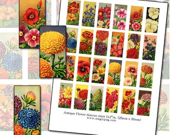 Antique French Flower Seed Packet Domino Art: Digital Collage Sheet (1x2 inch) (PDF Pattern)