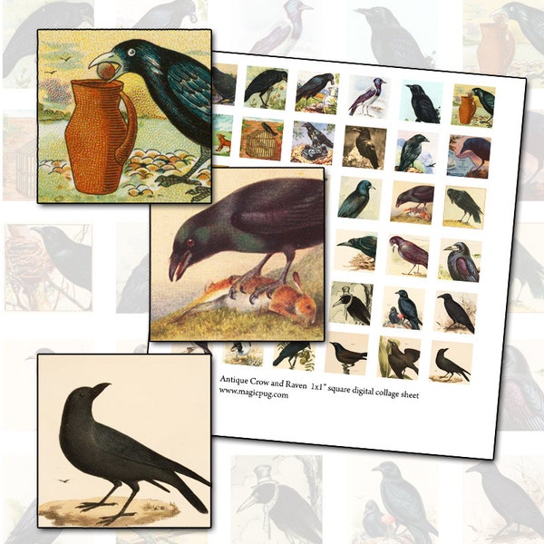 Crow and Raven 1x1 inch square digital collage sheet 25.4mm 25mm inchies