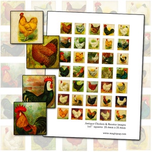 Antique Chicken & Rooster Images: 1-Inch Square Collage Sheet (Digital Download)