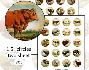 Antique Cows 1.5" circle digital collage sheet farm animal herd 36mm round