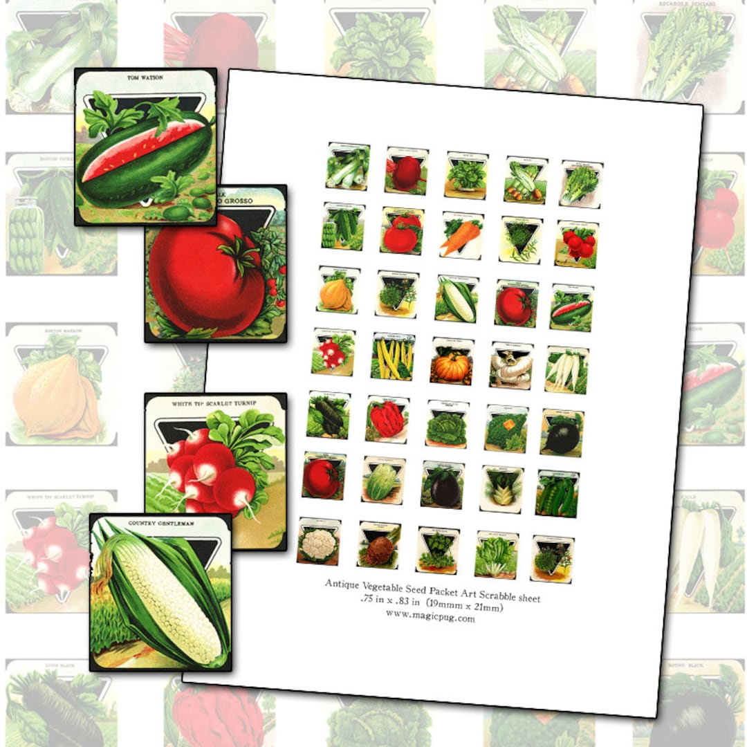 Antique Vegetable and Herbs Scrabble Sized Digital Collage Sheet .75 X