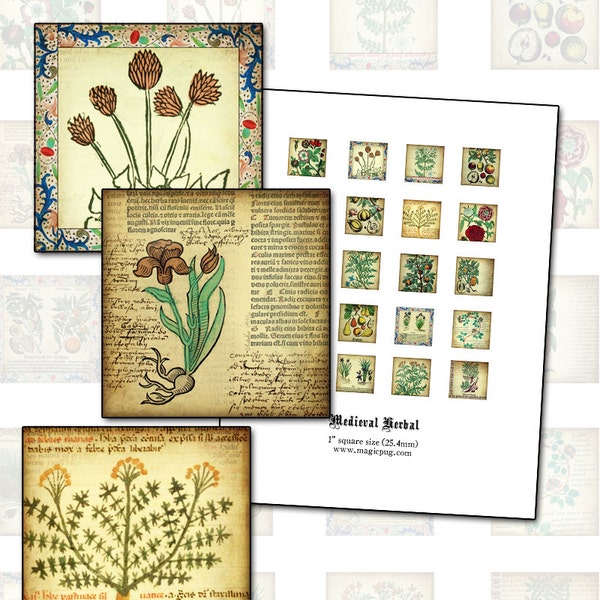 Medieval Herbal 1 inch square digital collage sheet 25 mm square inchies