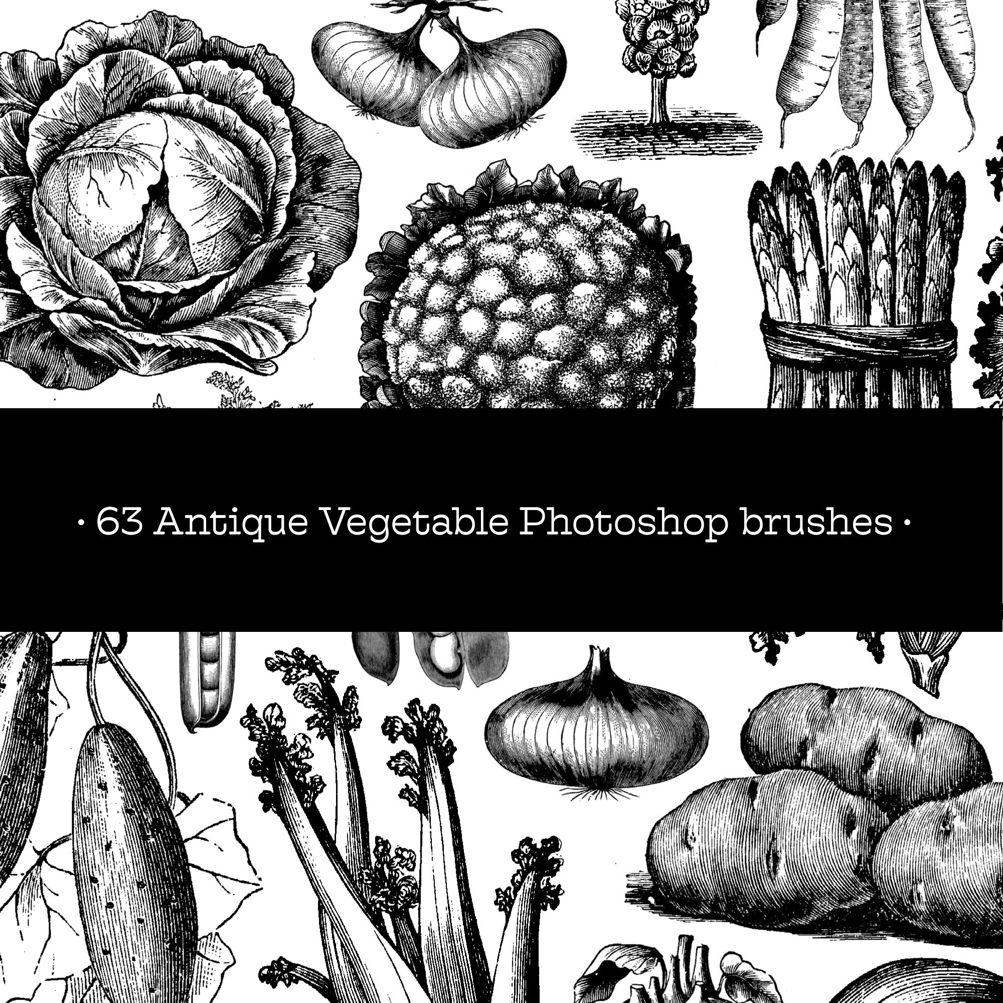 Visual Arts 63 Antique Vegetable Engravings Brushes mixed