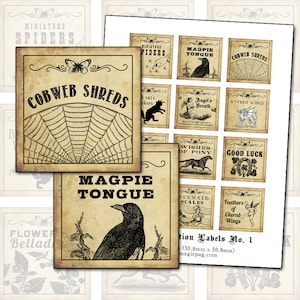 Antieke Fantasy Potion Labels I 2 x 2 inch digitaal collageblad inchies 50 mm vierkante cherubijn good luck ekster jack o'lantern belladonna