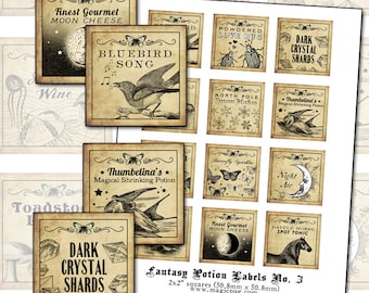 Antique Fantasy Potion Labels: 2x2" Collage Sheet (Digital Download)