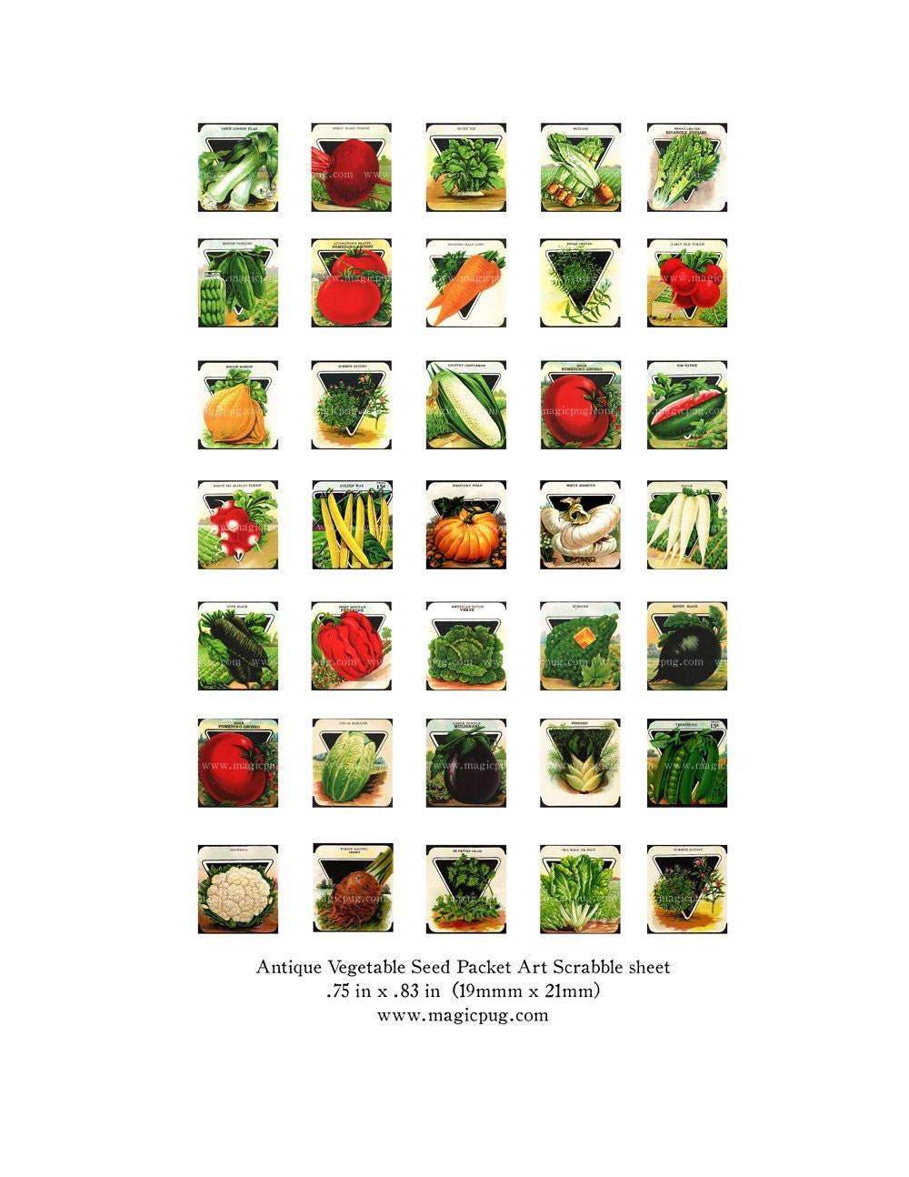 Antique Vegetable and Herbs Scrabble Sized Digital Collage Etsy
