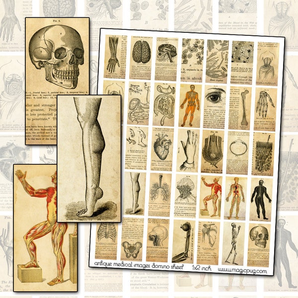 Antique Medical Engravings Collage Sheet: Domino Jewelry, Altered Art (Digital Download)