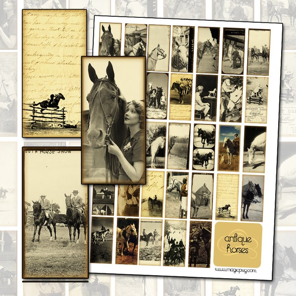 Instant Download Antique Horse Altered Art Digital Collage Sheet for Domino necklace pendant jewelry 1x2 inch 25mm x 50mm western postcard