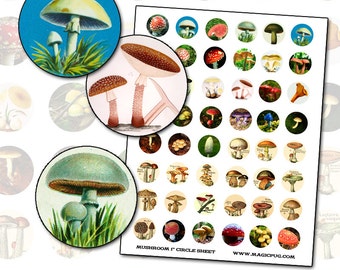 Antique Mushroom Toadstool 1 inch circle digital collage sheet 25mm round polka dot mushroom