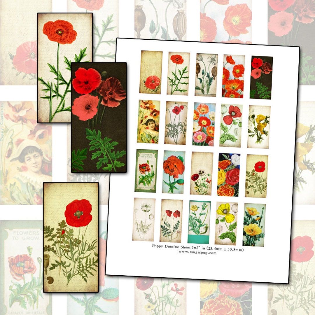 Antique Poppies Floral Domino Digital Collage Sheet 1x2 Inch 25mm X ...