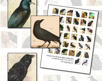 Crow & Raven Scrabble Tile Images: Digital Collage Sheet (PDF)