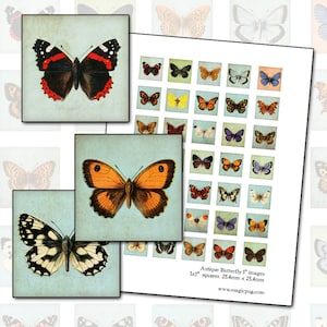 Antique Butterfly inchies digital collage sheet 1 inch square 25.4mm pale robins egg blue background 25mm x 25mm
