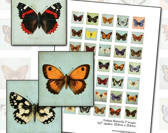 Antique Butterfly inchies digital collage sheet 1 inch square 25.4mm pale robins egg blue background 25mm x 25mm