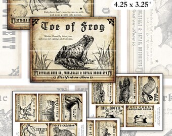 Macbeth Potion Labels: Witchcraft Ingredients (Digital Download)