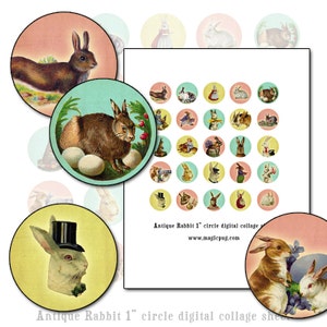 Antik-Kaninchen-Kaninchen Pastell 1 Zoll Flaschenverschluss Kreis digitale Collage Blatt 25mm Kreis rosa gelb mintgrün hellblau Hasenhäschen