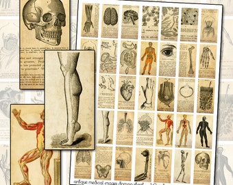 Antique Medical Engraving Domino Digital Collage Sheet for jewelry decoupage altered art